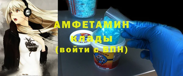 шишки Архангельск