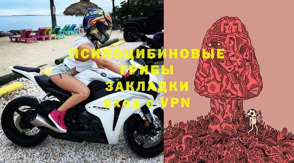 кокс Каменка