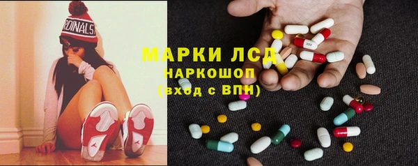 ALPHA PVP Новозыбков