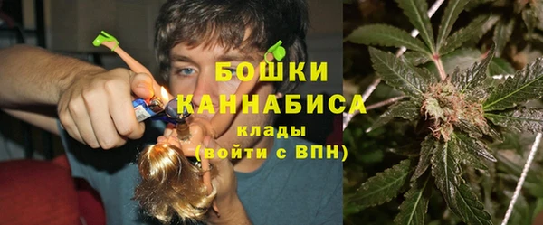 ПСИЛОЦИБИНОВЫЕ ГРИБЫ Алексеевка