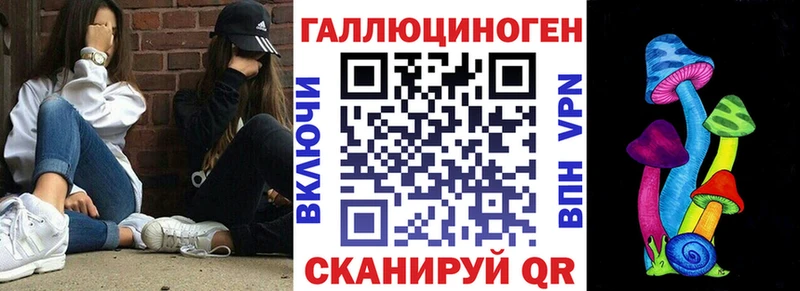 купить наркотики сайты Петровск Псилоцибиновые грибы прущие грибы
