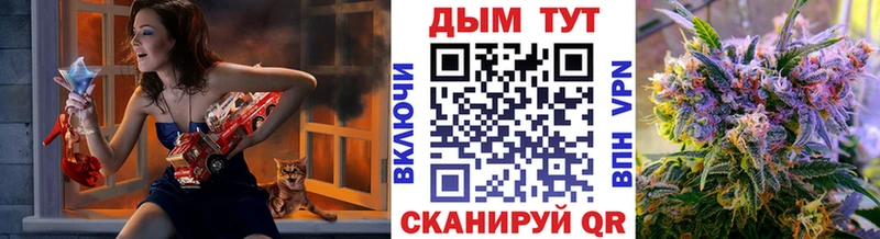 мориарти телеграм  Петровск  Бошки марихуана планчик  МЕГА сайт 